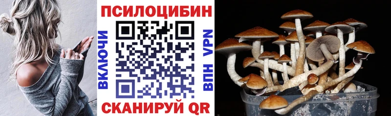 дарк нет формула  Шарья  Галлюциногенные грибы прущие грибы 